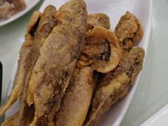 -福禄财东北菜(珠江帝景店)