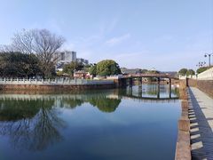 -八大山人梅湖景区