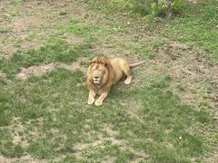 -西霞口神雕山野生动物世界