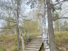 -塞罕坝国家级自然保护区