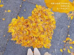 -两江幸福广场
