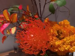 -百富源·海鲜辽菜(和平北大街店)