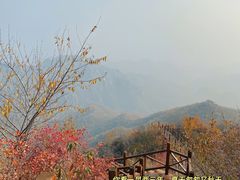 -大岭沟猕猴桃谷风景区