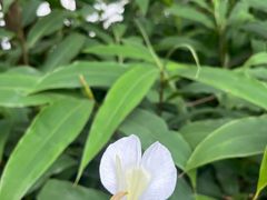 -重庆中央公园(渝北区)