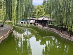 -团结湖公园