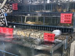 -大胡子海鲜·天津菜·砂锅烧烤(五大道创始店)