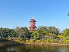 -厦门园林博览苑