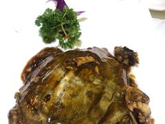 冰糖甲鱼-老正兴菜馆(福州路店)