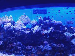 -多彩贵州城极地海洋世界