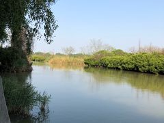 -大湾区中央湿地公园
