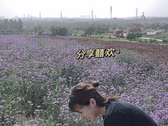 -西海岸生态观光园
