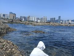 -黑石礁公园