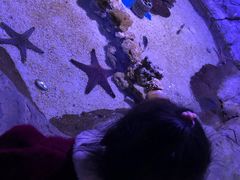 -多彩贵州城极地海洋世界