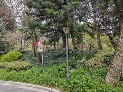 -叶家花园