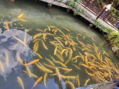 -本溪水洞