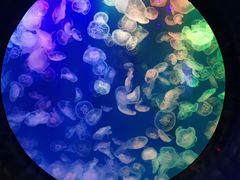 -成都浩海立方海洋公园