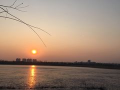 -绿堤公园