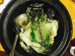 -ZF Seafood Restaurant 卓峰海鲜餐