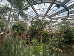 -昆明植物园