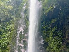 -莫里热带雨林景区