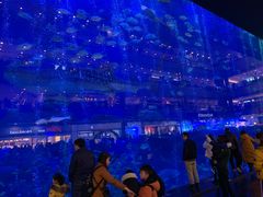 -成都浩海立方海洋公园