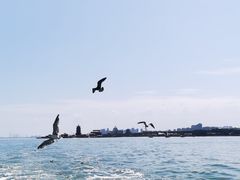 -八仙过海景区