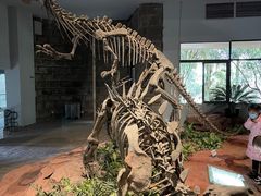-自贡恐龙博物馆