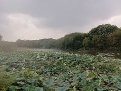 -池州市平天湖风景区
