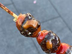 -糖葫芦王保定名吃(古莲花池店)