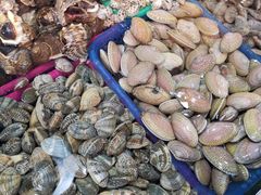 -三亚新鸿港水果一级批发市场