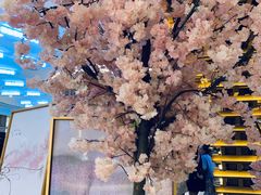 -茶马花街(城西银泰城店)