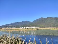 -腾冲北海湿地