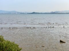 -深圳湾公园(南山区)
