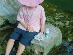 -素山寺森林公园