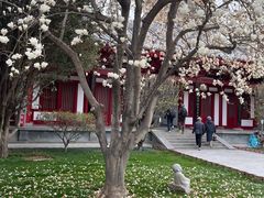 -大慈恩寺(大雁塔)
