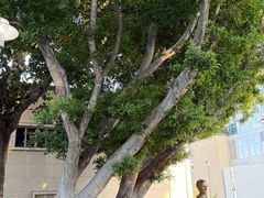 -华特·迪士尼音乐厅