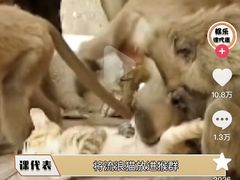-昆明动物园