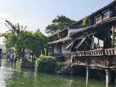 -乌镇东栅景区