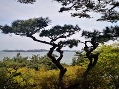 -松岛