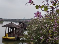 -海珠湖公园