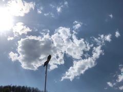 -南泥湾风景区