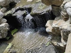 -白水寺森林公园