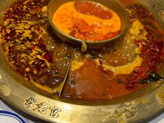 -哥老官重庆美蛙鱼头(日月光店)