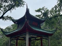 -岳麓山风景名胜区