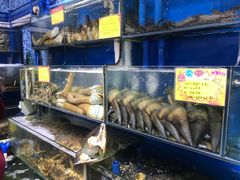 -蚝专家(北滘店)