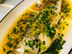 雪菜蒸野生大黄鱼-麟1929(外滩店)