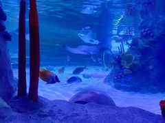 -沈阳海洋探索中心