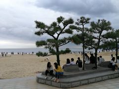 -海云台海滩
