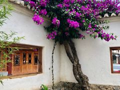 -喜洲翰林餐厅(董家百年老宅店)