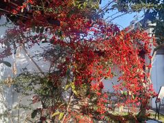 -苏州冶园园林民宿(太湖西山风景区店)